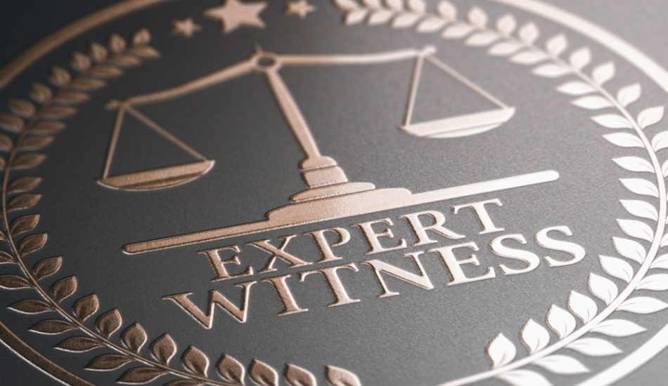 Do You Need Expert Witnesses in Your Divorce Case?