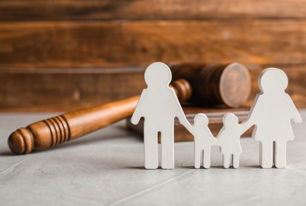 El Tribunal de Apelación aprueba las órdenes de protección de menores, pero no los cargos por violencia doméstica contra las víctimas infantiles