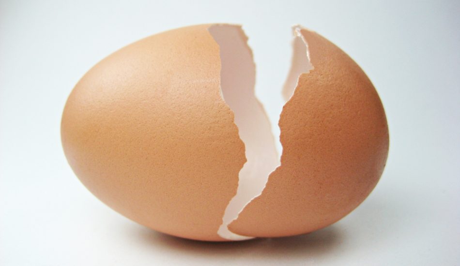 El "demandante cáscara de huevo":" Las lesiones preexistentes no le impiden reclamar daños y perjuicios tras un accidente de tráfico