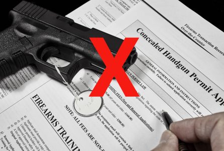 Porte Constitucional - ¿Cuáles son las Nuevas Leyes de Armas de 2024 en Carolina del Sur?